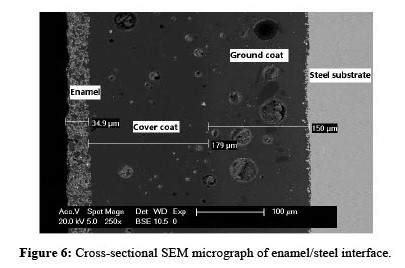 micrograph showing the chemical resistant enamel layer makes up only a very small percentage of the total thickness